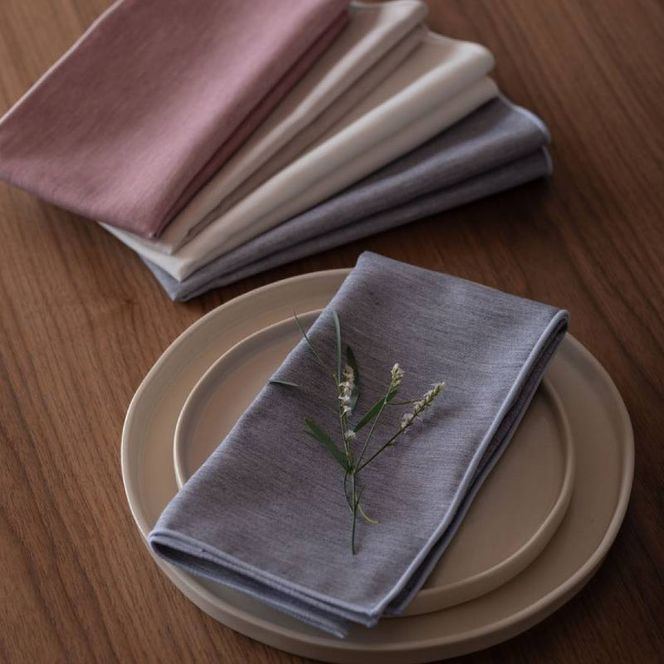 y{򍲖szwsg0070 ivL eterble fabric Desir Napkin^G^[ut@ubN fW[ CfBS