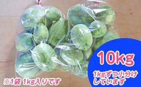 北海道 富良野市 摘果メロン 10kg ≪1kg×10袋≫ お漬物用 2026年 春夏発送 (中山農園)
