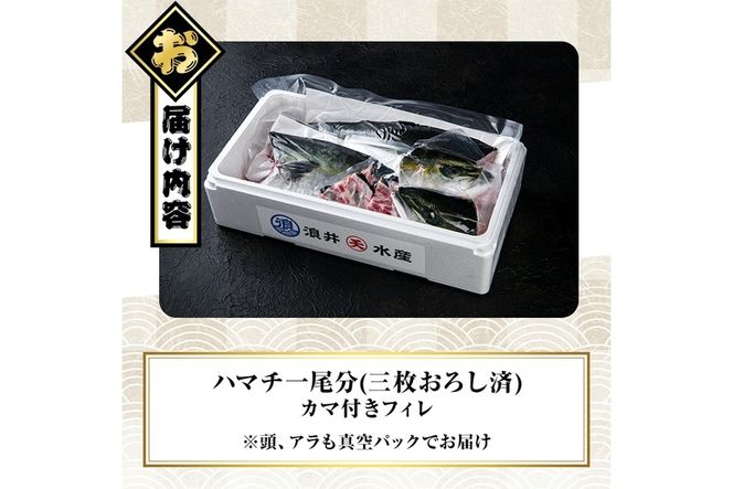 豊後ハマチ 若武者(三枚おろし済1尾) ハマチ はまち 鮮魚 旬 刺身 三枚おろし 国産 大分県 佐伯市 特産品【GS002】【浪井丸天水産】