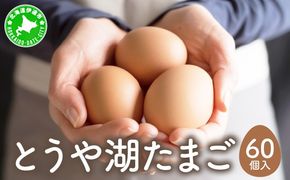 北海道 伊達市 とうや湖 卵  60個 入り たまご