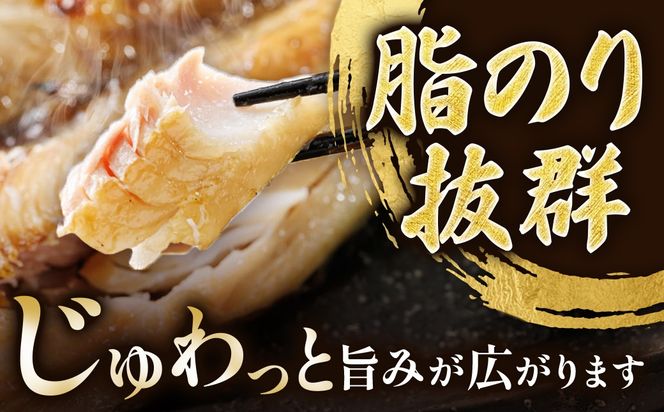 北海道産 ほっけ一夜干し（450～499g）×6枚 【配送日時指定可能】 釧路町の匠が贈る 北の至宝 ホッケ 干物 焼魚 焼き魚 白身魚 セット ひもの 魚干物 一人暮らし セット おかず 冷凍 スピード発送 すぐ届く 魚介類 海鮮 絶品 人気 ヒロセ すぐ発送 北海道 釧路町 釧路超 特産品
