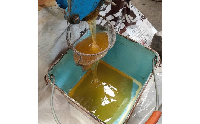 948.鳥取の花の香りを食卓へ。天然はちみつ3瓶セット（百花蜜、アカシア、トチ）67g×各1瓶（計3瓶） 蜂蜜 ハチミツ ハチ蜜 鳥取県産◇日本全国配送可能 313726_BW001