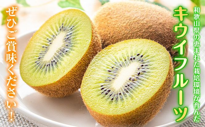 先行予約 和歌山県産 キウイフルーツ 約3.6kg 約20玉～36玉前後 前商店《2026年2月上旬-3月末頃出荷》キウイ キウイフルーツ フルーツ スイーツ 果物 送料無料---wsk_mes18_2j3m_25_14000_20t---