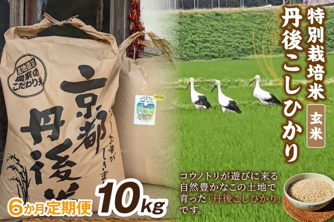 【定期便】玄米10kg×6か月 京丹後久美浜産 特別栽培米こしひかり（2026年10月〜発送）　KU00104