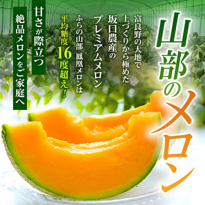 【2026年夏発送】〈桐箱入〉富良野メロン 山部の絶品『鳳凰』3L 2玉 計4kg以上 メロン 大玉 赤肉 北海道