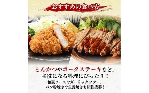 宮崎県産豚肉　大判ロース　1.6kg（200g×8枚） 【 肉 豚肉 ステーキ とんかつ 生姜焼き 】[C11116]