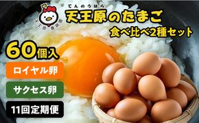 【定期便】11回定期【天王原のたまご】 サクセス卵30個/ロイヤル卵30個 【11回定期便 セット たまご 卵 玉子 タマゴ 濃厚 食べ比べ ハリ 弾力 ボリューム 甘味 旨味 卵黄 風味 生 コク 甘味 卵かけご飯 卵焼き 目玉焼き オムレツ 茶碗蒸し お菓子作り パンの材料】