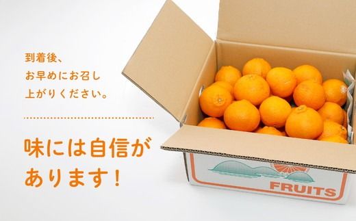 【先行受付】【※超訳あり】不知火（しらぬい） 5kg | みかん 柑橘 ミカン 蜜柑 mikan 果物 フルーツ 糖度 甘い でこぽん デコポンと同品種 愛媛県 伊方町 Misaki Base ※2025年2月中旬～3月中旬頃に順次発送予定 ※離島への配送不可