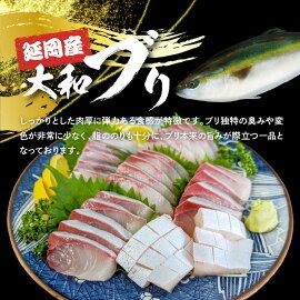 高級大和ブリのお造り8人前 N072-YA859