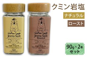 クミン岩塩(ロースト)クミン岩塩(ナチュラル) 2本セット｜スパイス 調味料 ロースト ナチュラル クミン 塩 岩塩 香辛料 ミックススパイス エスニック 料理用 下味 味付け BBQ アウトドア 肉料理 野菜料理 [2621]