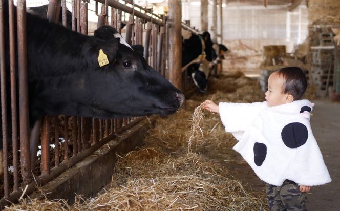 ns130-002 【令和7年産米】那須山麓ミネラル米　3kg