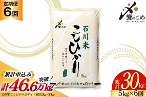 米 定期便 石川米こしひかり【穂立】5kg×6回 総計30kg [中橋商事 石川県 宝達志水町 38601131] コシヒカリ お米 コメ 6ヶ月 白米 精米 おこめ こめ 能登 5kg 5キロ
