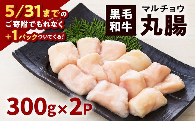 黒毛和牛丸腸（ホルモン）300g入り×2パック　K130-001_cp