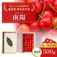 2027年発送 北海道 仁木町産 贈答用 さくらんぼ 【 南陽 】 桐箱入 2L～3Lサイズ 500g 果物類 フルーツ チェリー サクランボ  [嶋田茂農園匠]