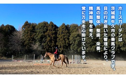 乗馬体験１回コース 乗馬 レッスン 見学 初心者 日帰り 体験 馬 チケット[CJ001us]