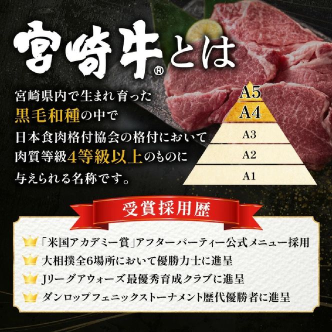 【A4等級以上】宮崎牛ロースステーキ 2枚 計400g（内閣総理大臣賞 A4 A5 宮崎牛 牛肉 黒毛和牛 ステーキ ロース 赤身 霜降り 宮崎県）
