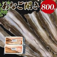 あなご開き 2～3パック(計800g) あなご 蒲焼 お吸い物 天ぷら 煮穴子 和食 海産物 味噌汁 ごはん 夕飯 おかず 大船渡 三陸 岩手県 国産 [shitabo012]