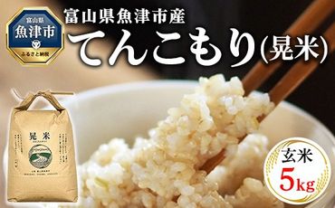 【令和6年度米】環境配慮「魚津のてんこもり（晃米）」5kg（玄米） ｜ MK農産 玄米 銘柄米 ご飯 おにぎり お弁当 和食 主食 国産 産地直送 甘み 香り もちもち ※2024年10月下旬頃より順次発送予定 ※北海道・沖縄・離島への配送不可