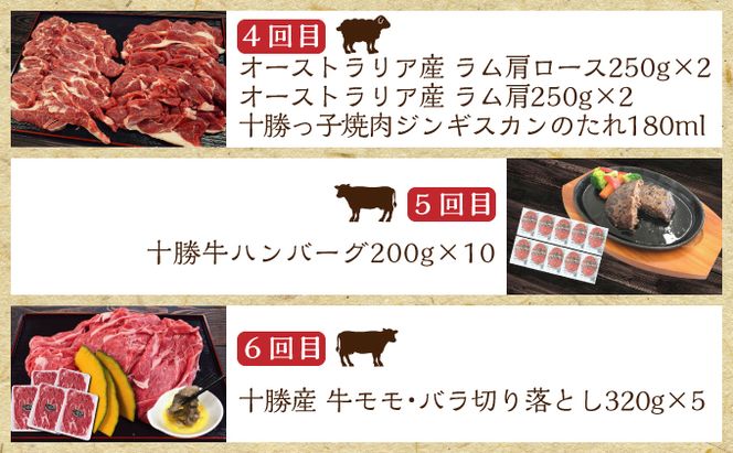 北海道十勝のお肉屋さん厳選定期便【全6回】 ハンバーグ 牛肉 ステーキ ジンギスカン 