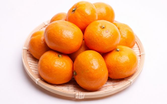 【先行予約】プレミアム 有田みかん（完熟）10kg+250g（傷み補償分） ※11月より発送(完熟)【光センサー選果】 ※北海道・沖縄・離島配送不可 /みかん ミカン 果物 果実 有田 和歌山 フルーツ オレンジ【ikd215A】