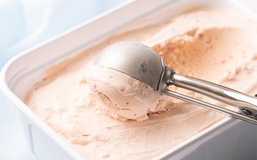 福岡県産 あまおう ジェラート 1000ml いちご 苺 フルーツ アイス 国産【2026年4月上旬より順次発送予定】