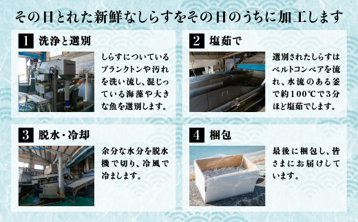 【愛媛県・佐田岬直送】木嶋水産の釜揚げしらす 1kg（250g×4パック）｜魚介類 海産物 魚 釜揚げ しらす シラス 小分け やみつき ご飯のお供 おつまみ 酒の肴 おやつ しらす丼 サラダ 海産物 冷凍 お取り寄せ グルメ 食品 国産 愛媛県産 ※離島への配送不可