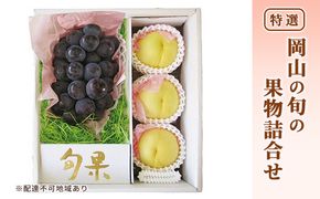 桃 ぶどう 2026年 先行予約 特選 岡山の旬の果物詰合せ-3 もも 葡萄 岡山県産 国産 フルーツ 果物 ギフト 岡山白桃 大玉 3玉 ニューピオーネ ブドウ お取り寄せ 季節の果物 