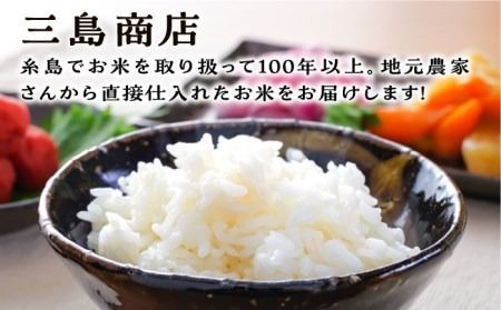 【全6回定期便】糸島産 ひのひかり 5kg × 6回 糸島市 / 三島商店 [AIM009] 米 白米