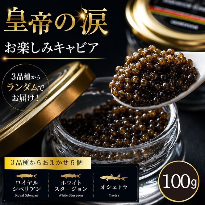 【お試しキャビア】皇帝の涙 100g 3品種からランダムで5個（オシェトラ・ホワイトスタージョン）国産 チョウザメ キャビア