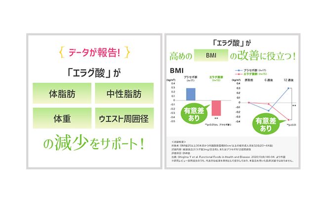 DHCウエスト気になる 30日分【機能性表示食品】 6個セット（180日分） 