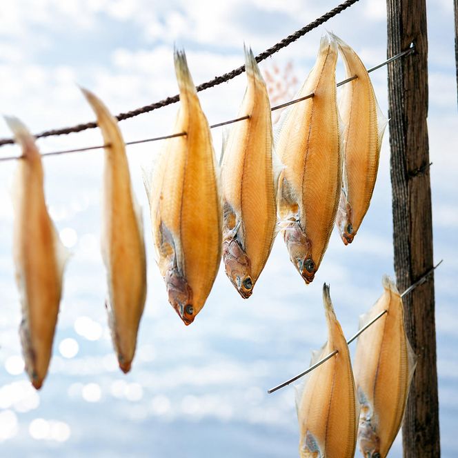 【ふるさと納税】旨みたっぷりエテカレイ (大 4匹) 魚貝類 魚 一夜干し エテカレイ 干物 ひもの セット 日本酒 肴 珍味 ご飯のお供 日本酒 