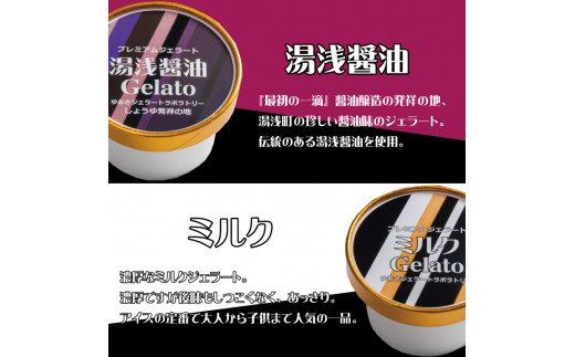 プレミアムジェラート 詰め合わせセット（6種類×2個） アイスクリームセット 100mlカップ ゆあさジェラートラボラトリー【kztb701】