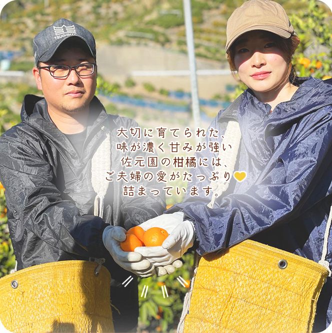 DI6032n_和歌山県有田産 八朔 3kg 秀品 (M～2Lサイズおまかせ)