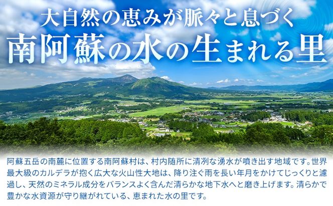 阿蘇の名水 選べる 500mL×24本 計12L 2L×9本 計18L 九州ネクスト株式会社《30日以内に出荷予定(土日祝除く)》 熊本県 南阿蘇村 白川水源 水 ペットボトル ミネラルウォーター 飲料水 備蓄水 湧水---sms_kyunm_30d_26_13000_24p---