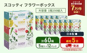ティッシュ スコッティ フラワーボックス 60箱 ( 5箱 × 12パック) 