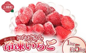 【選べる内容量】◆赤い宝石◆いちごさん 冷凍いちご 1kg～5kg（500g×2袋～10袋）