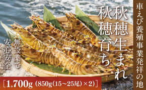 B056 旭水産活き車海老（あいおえび）1700g（850g（15～25尾）×2）【養殖】