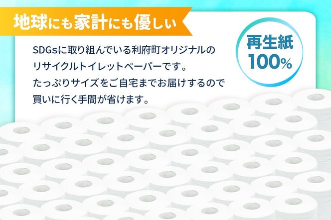 《定期便10ヶ月》【利府町オリジナル】トイレットペーパー（ロール数48個×10回）|06_sik-014810