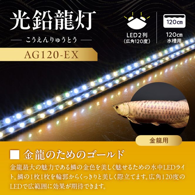 水槽全体を明るく照らし、鱗を際立たせる!金龍専用の高輝度水中ライト|AG120-EX［172C17］金龍 専用 プレミアムゴールド 水中 アロワナ 高輝度 水槽ライト テンニングライト グラデーション 3色 LED ライト 照明 水中照明 光 綺麗 強化ガラス 吸盤 1年保証 簡単 設置 でんらい インテリア 雑貨 愛知県 小牧市 送料無料