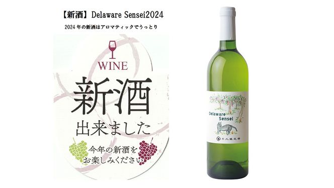 【 新酒 】デラウェアセンセイ Delaware Sensei 2024 750ml×1本 茨城県産 牛久醸造場 日本ワイン ワイン 白ワイン 750ml ミディアムボディ お酒 贈り物 葡萄 ぶどう [BJ060us]