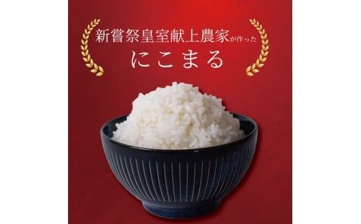 令和7年産 にこまる 白米 選べる 5kg 10kg 1回 4回 定期便 お米 精米 新米 ごはん ご飯 高知県産 弁当 おにぎり 料理 新嘗祭皇室献上米 令和7年 R7年 高知県安芸市 もちもち食感 美味しい 農家直送 先行予約 定期便 高級米 ブランド米 冷めても美味しい 炊き立て 食べ比べ 人気 おすすめ 贈答用 ギフト 安芸市 高知県