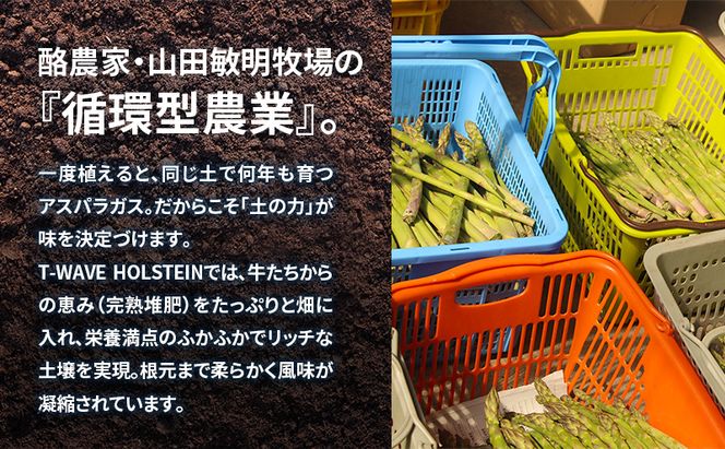 十勝幕別町産 グリーンアスパラ1kg M～2L混合［山田敏明牧場］【2026年5月出荷開始】 北海道 野菜 アスパラガス 