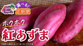 ＼選べる発送方法／ 紅あずま 約 2.5kg （茨城県共通返礼品 [さつまいも]：行方市産） 単品（1回）・定期便（3回 / 6回） さつまいも サツマイモ べにあずま 芋 いも 野菜 根菜  茨城県産 お取り寄せ 野菜 根菜 いも