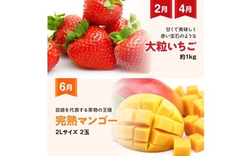 【 全6回定期便 】 プレミアム デラックス 定期便 【偶数月】 【 川南町産 いちご 完熟 マンゴー ぶどう シャイン マスカット メロン 】[B11703t6]