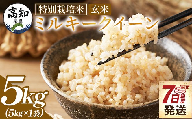 ミルキークイーン 玄米 ５ｋｇ 令和８年産 特別栽培米 国産 精米 米 お米 ご飯 ごはん おにぎり おむすび 炊き込みご飯 高知県 香南市 常温 sr-0011