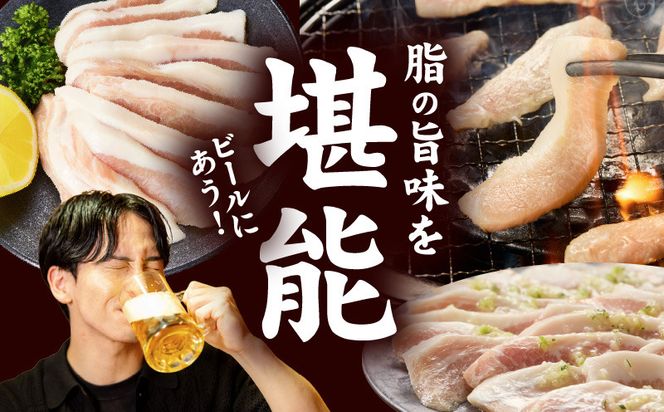 010B1514 味付き 豚トロ 1.2kg【小分け 300g×4P 焼肉用 塩だれ 焼くだけ 小分け BBQ やきにく 数量限定】