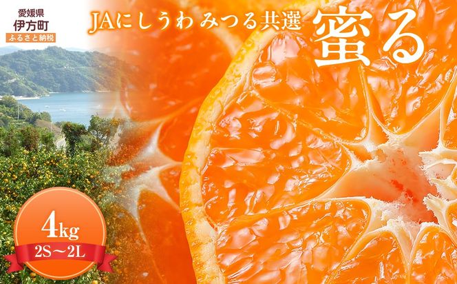 JAにしうわ みつる共選 「蜜る」4kg（2S～2L）※離島への配送不可（2026年11月中旬より順次発送予定） IKTBC004