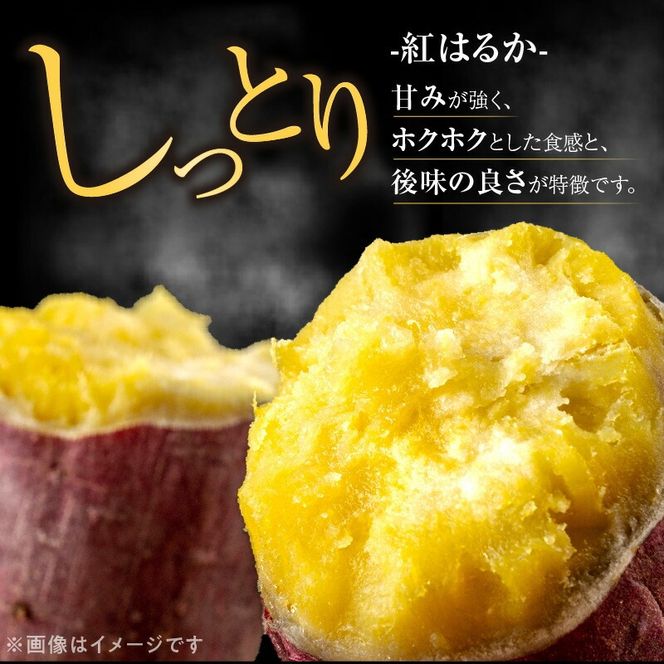 さつまいも 紅はるか 5kg　N063-YA3385