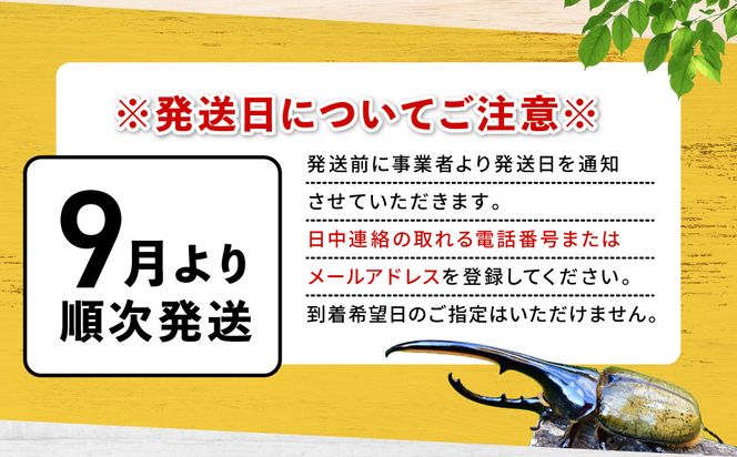 【先行予約】ヘラクレスオオカブト3令幼虫ペア ※育て方の説明書付き※配送不可地域あり【2026年9月から順次発送】 304018_CW003