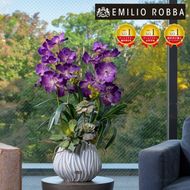 アートフラワー エミリオ・ロバ バンダボタニックpu-XL TTUTA10450